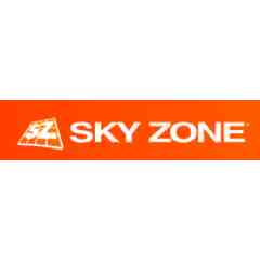Sky Zone Trampoline