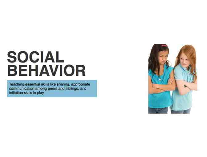 Behavior Assessment Session with Noga Klain