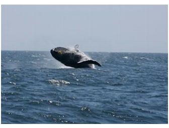 Channel Islands Sailing Charter 2 day for up to 4 guests on board the Sancerre