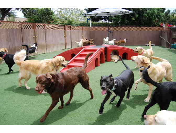 The Bone Adventure- 2 Overnights and 1 Full Day of Dog care