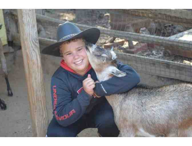 A Weekend at Rawhide Ranch - America's Best Wild West Camping Experience!