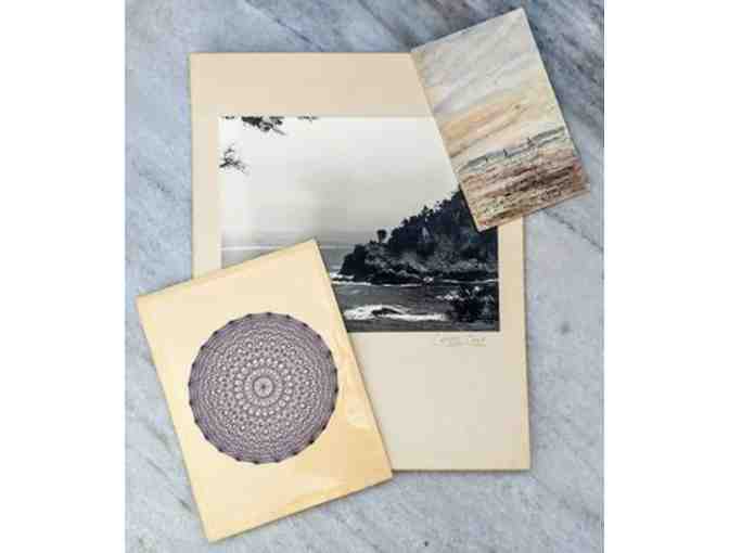 Molly Wood Garden Design Live Arrangement & Gift Card