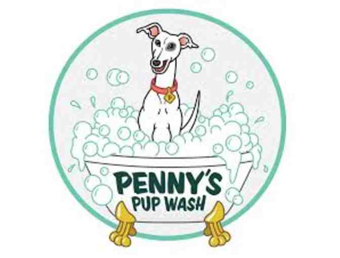 Treat Your Puppy with a Pup Wash - Leash and Dog Bed