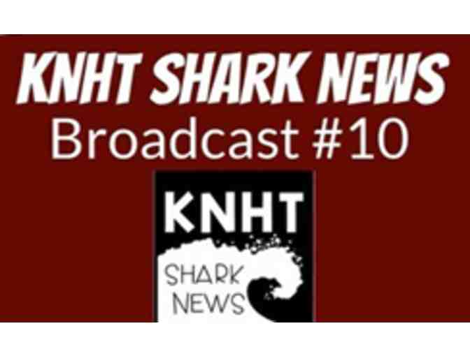 Guest Reporter on Shark News!!