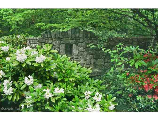 Fells 2019 Family Membership with 6 FREE Passes