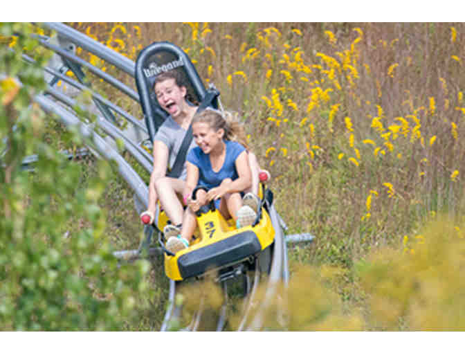 Cranmore Mountain Resort- 4 Mountain Adventure Park Tickets