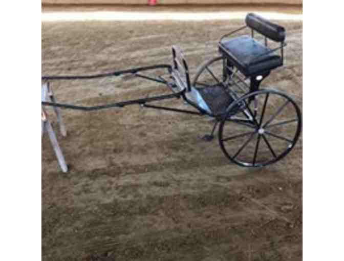 Private 2-hour Carriage Driving Lesson at the Carriage Barn, Kensington