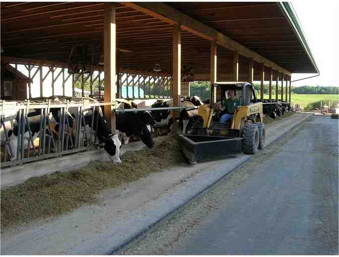 Insider's Tour of an Historic, Working Dairy Farm, Stratham, NH