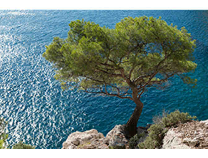 Reiki Session II/Carlson Healing