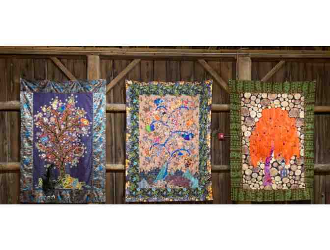 Wisconsin Museum of Quilts and Fiber Arts II