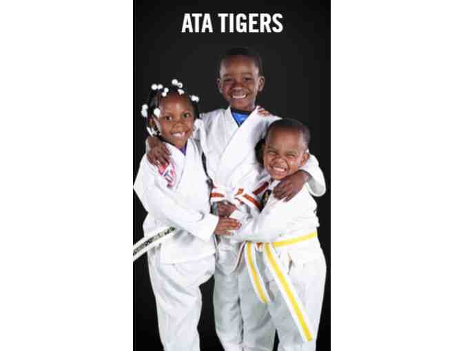 Taekwondo Instruction/Girton's ATA Taekwondo