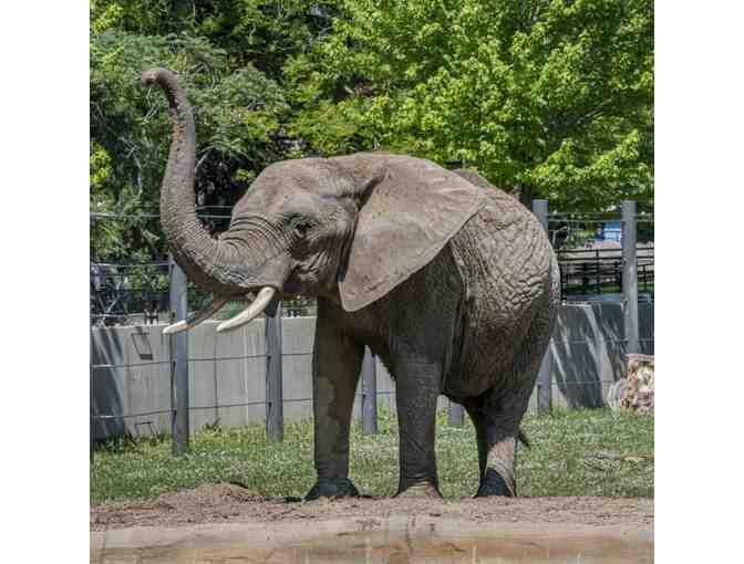 Visit The Milwaukee County Zoo