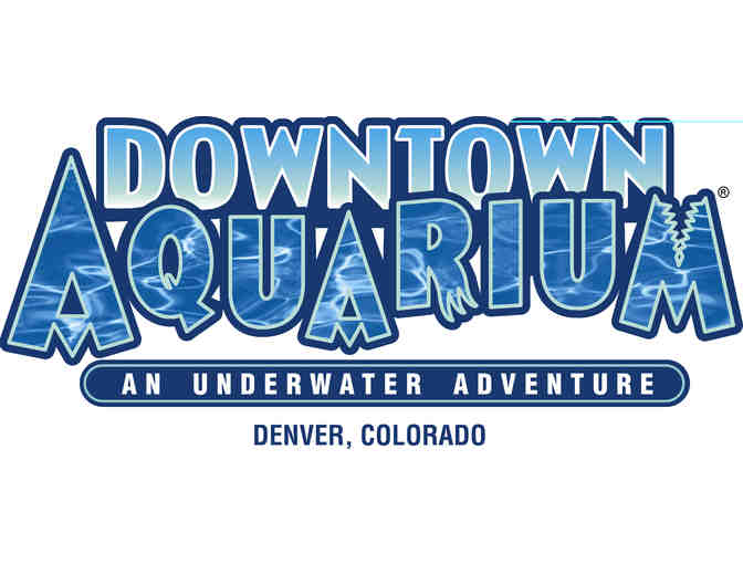 Snorkeling adventure at the Downtown Aquarium in Denver