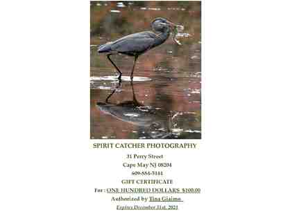 Gift Certificate to Spiritcatcher Photography in Cape May