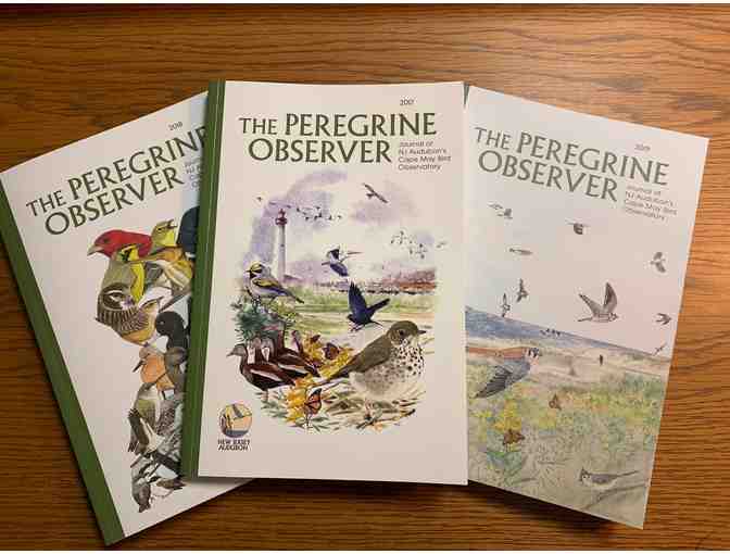 Collection of CMBO's Peregrine Observer Journals--2017, 2018, 2019