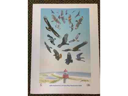 Cape May Hawkwatch -- Limited Edition, Signed Print by David Sibley