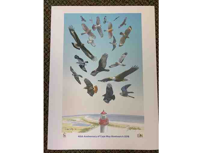 Cape May Hawkwatch -- Limited Edition, Signed Print by David Sibley - Photo 1