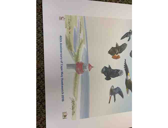 Cape May Hawkwatch -- Limited Edition, Signed Print by David Sibley - Photo 4