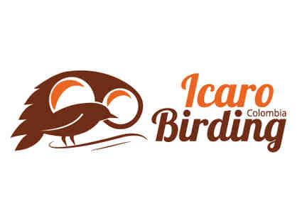 $500 certificate for tour with Icaro Birding in Colombia