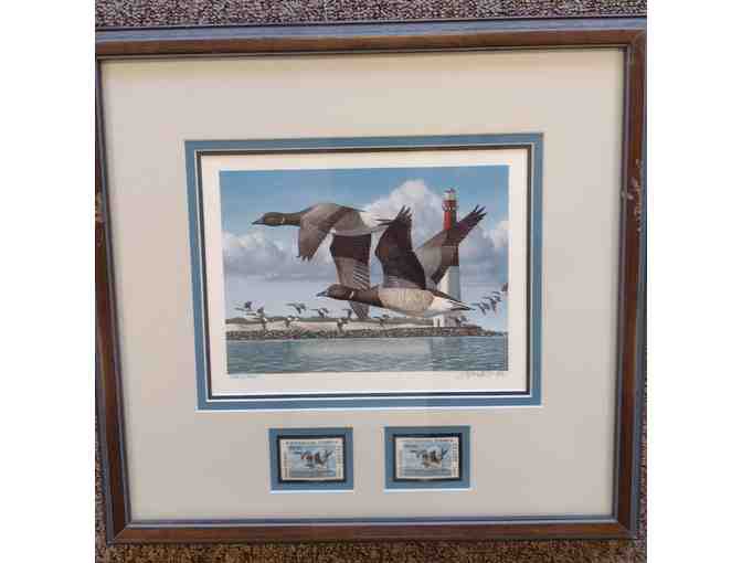 Framed Federal Duck Stamp print of Brant 1991 - Photo 1