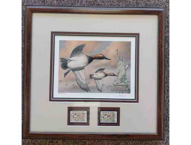 Framed Federal Duck Stamp of Canvasback 2000 - Photo 1