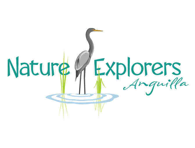 Anguilla, BWI - Wetland Beach and History Tour with Nature Explorers