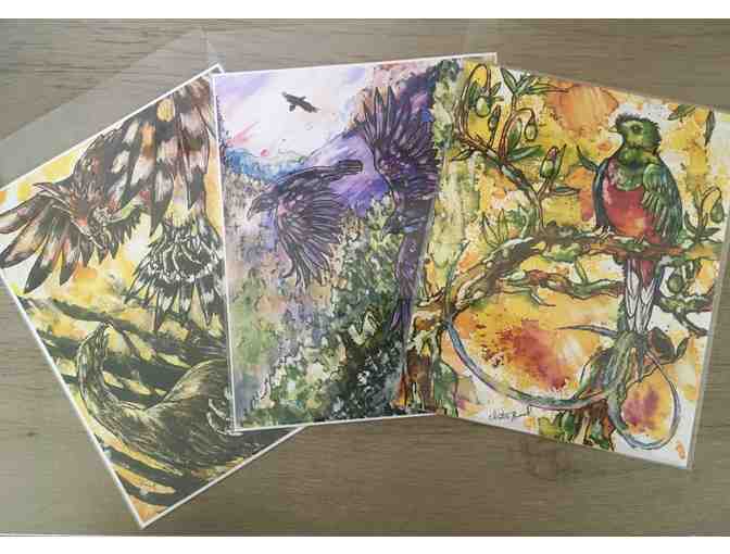 Gift package: Drawing 10,000 Birds by Christina Baal - Photo 4
