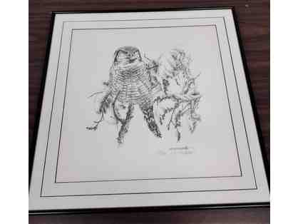 Northern Hawk Owl by Michael McNelly, framed, numbered and signed