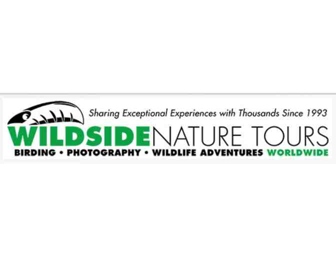 $2000 Wildside Nature Tours Certificate for 'BIG YEAR' Tour