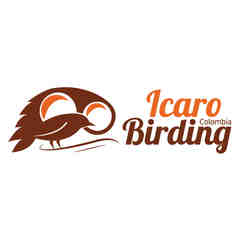 Icaro Birding
