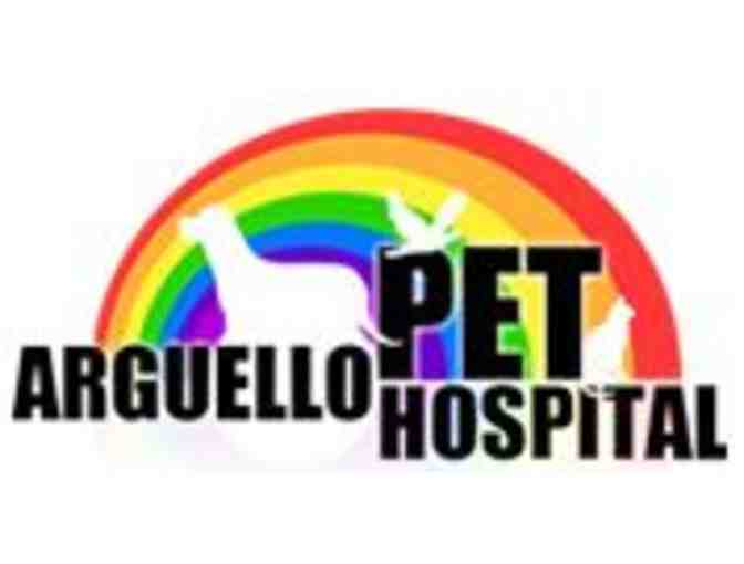 Arguello Pet Hospital Wellness Exam