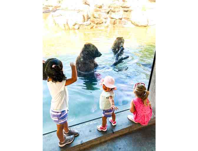Oakland Zoo Family Day Pass - Photo 4