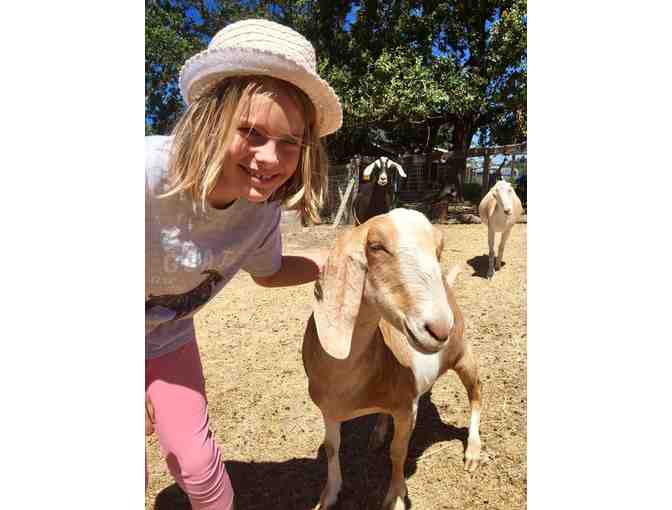 Goatlandia Animal Farm Sanctuary Tour for 6!