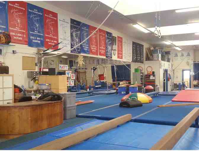 American Gymnastics Club - Annual Registration and One Month Gymnastics