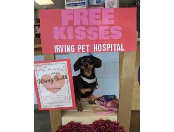 Irving Pet Hospital - $100 Gift Certificate