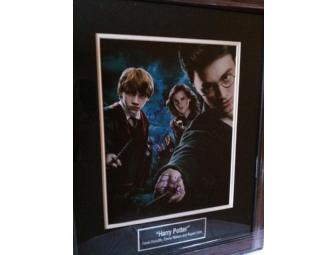 Harry Potter Cast Autographed and Framed 11X14 Photo