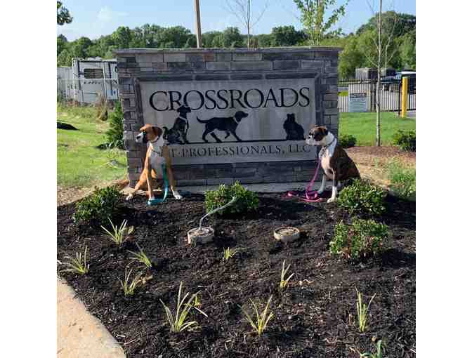 2 Nights of Boarding with a Bath & Nail Trim from Crossroad Pet Professionals