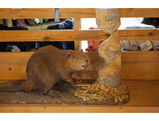 Certificate for $30 at Lake Superior Trading Post in Grand Marais, MN, Certificate #3