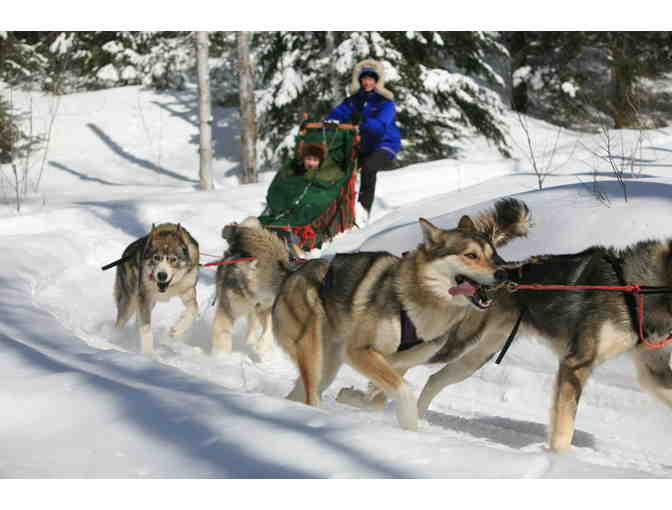 Dog Sledding Adventure for Two with Points Unknown