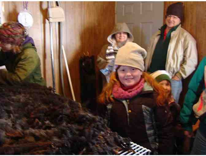 A Day on the Fleece Farm for Up to Four People in Oxford Township, MN