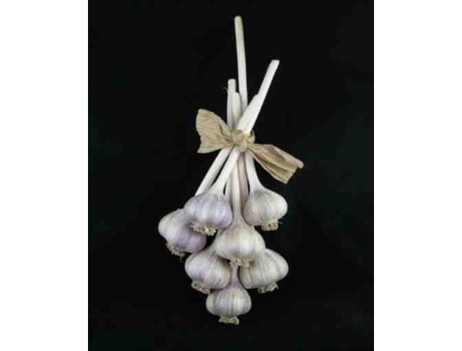 Original Prints and Fresh Garlic by Mother-Daughter Artists Jeanne and Olya Wright