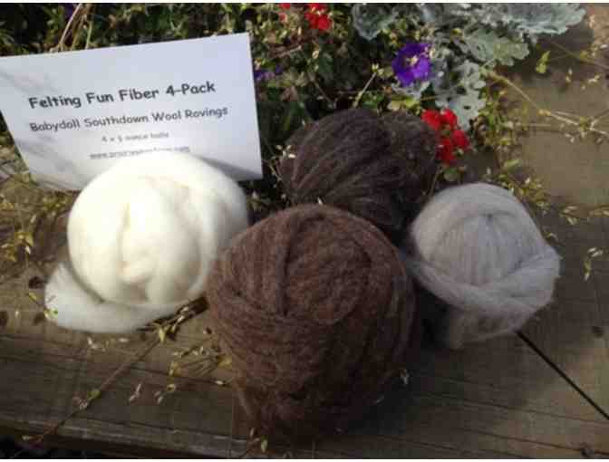 Felting Fun Starter Kit