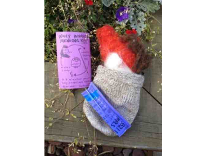 Felting Fun Starter Kit