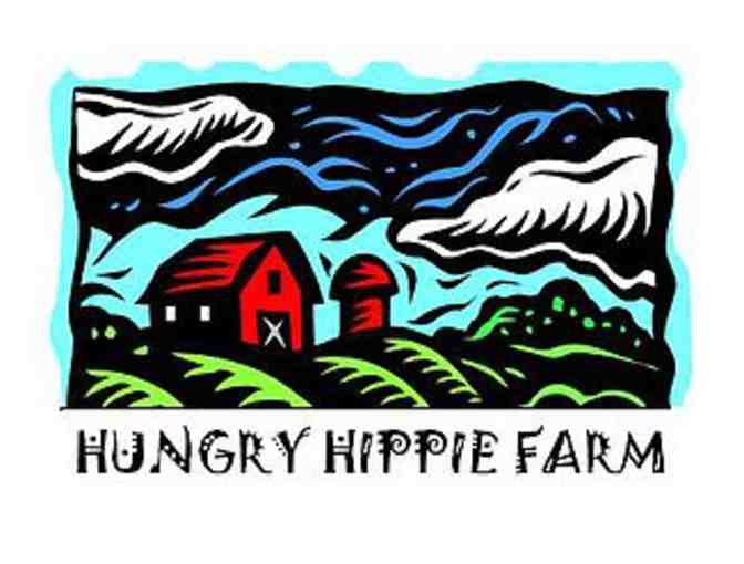 One-Night Private Room plus T-shirt from Hungry Hippie Hostel