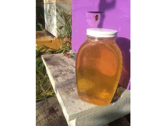 Rutabaga Ridge Homestead Honey package