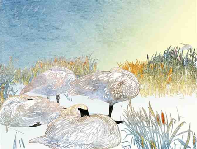 'Dream of the Tundra Swans' by Regional Artist Rick Allen of The Kenspeckle Letterpress
