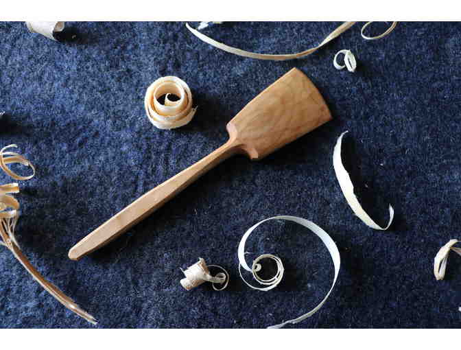 Spoon - Spoonesaurus