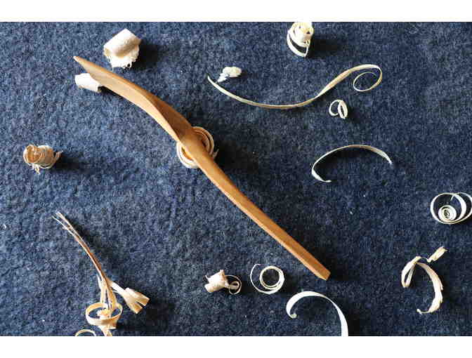 Spoon - Spoonesaurus