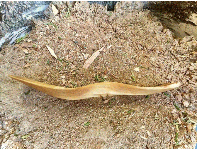 Swedish Wedding Spoon - Fred Livesay (Minnesota)