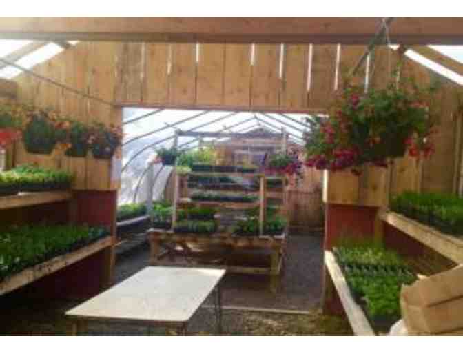 Gift Certificate for $40 at The Blue Moose